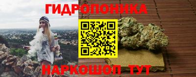 ALPHA PVP Вышний Волочёк