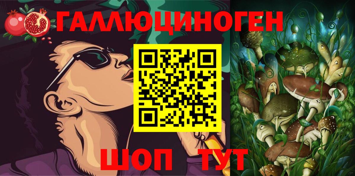 Якутск  Галлюциногенные грибы Psilocybine cubensis  Вход с VPN 
