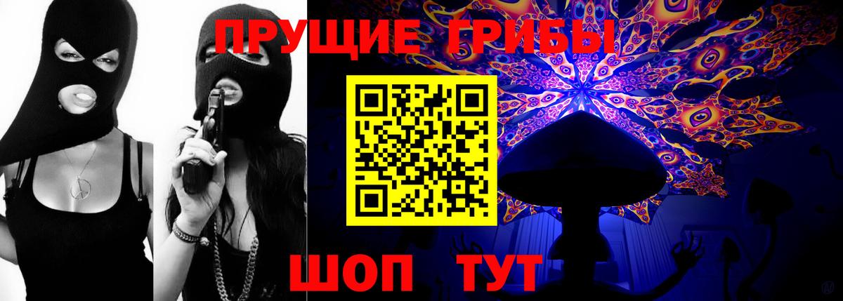 Псилоцибиновые грибы Psilocybe Якутск
